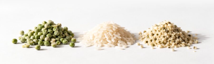 Hrach, ryža a konopné semienka — tri zdroje bielkovín v Powerlogy Organic Vegan Proteine