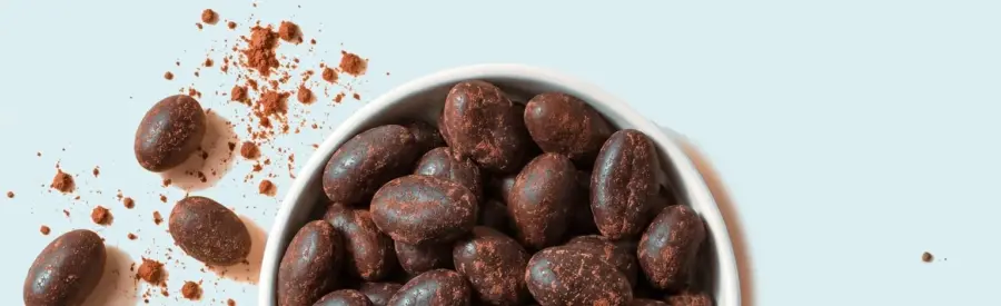 Powerlogy Upgraded Cacao Bites 100 g