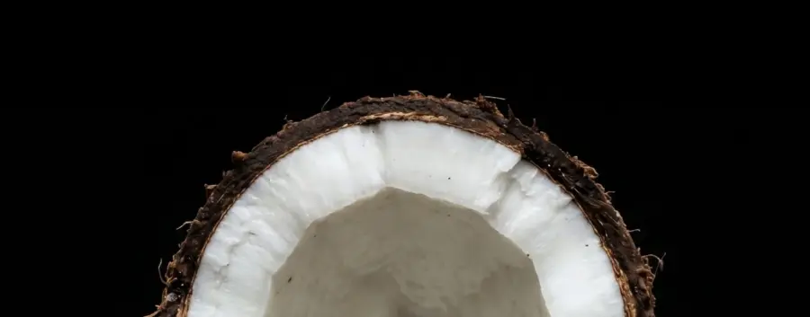 Powerlogy Upgraded Keto Shake Coconut &amp; Almond 600 g