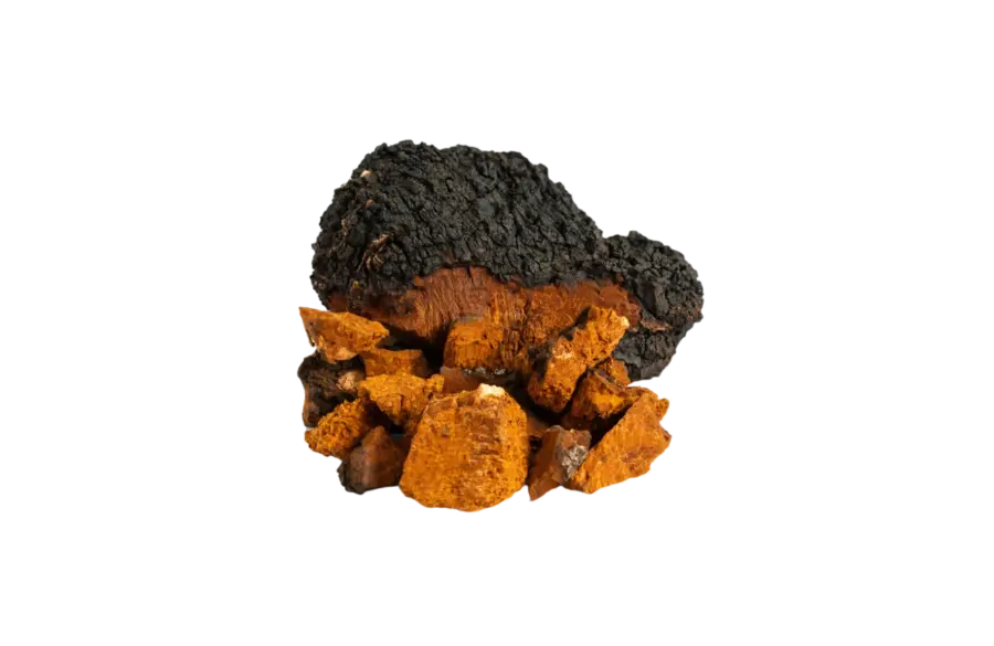 Kaapa Organic Mushrooms Chaga 50 ml