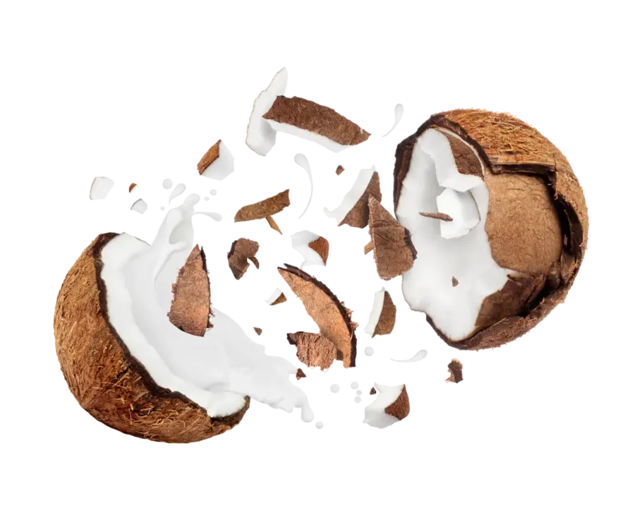 Wild &amp; Coco BIO Dried coconut milk 300 g