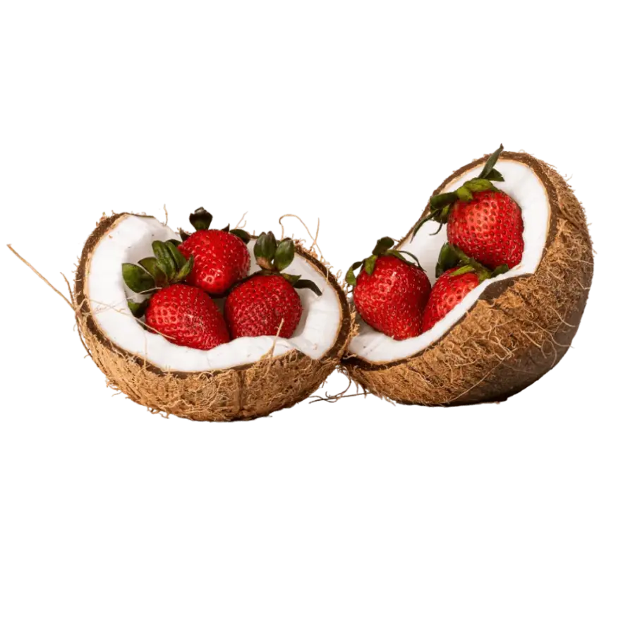 Powerlogy Strawberry Coconut Cream 300g Christmas Edition