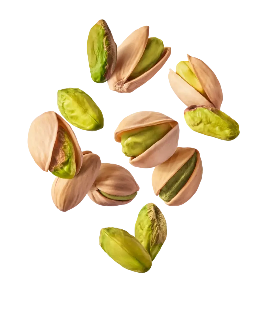 Powerlogy Pistacchio Cream 330g Christmas Edition