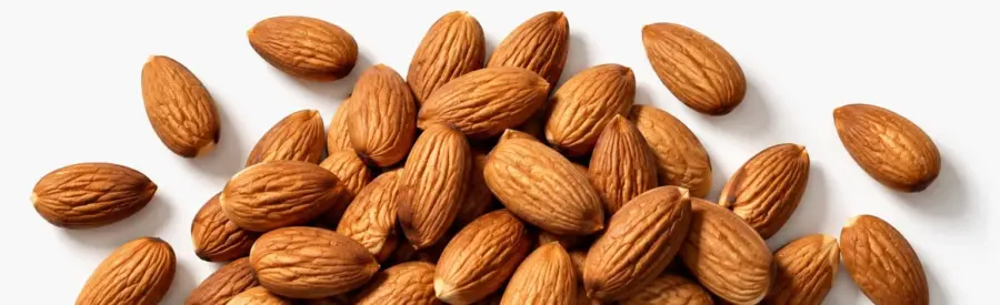 Powerlogy Almond Cream 475 g